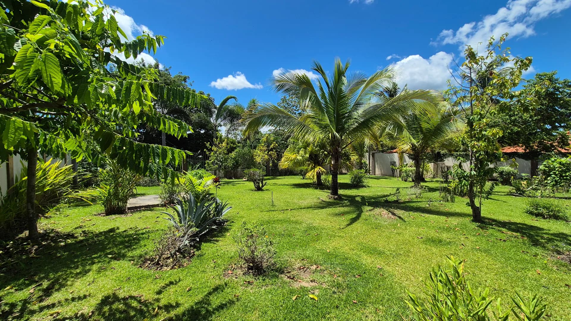 Spacious 3-Bedroom Home with Expansive Backyard Oasis Near Coronado P-0038 - Image 40