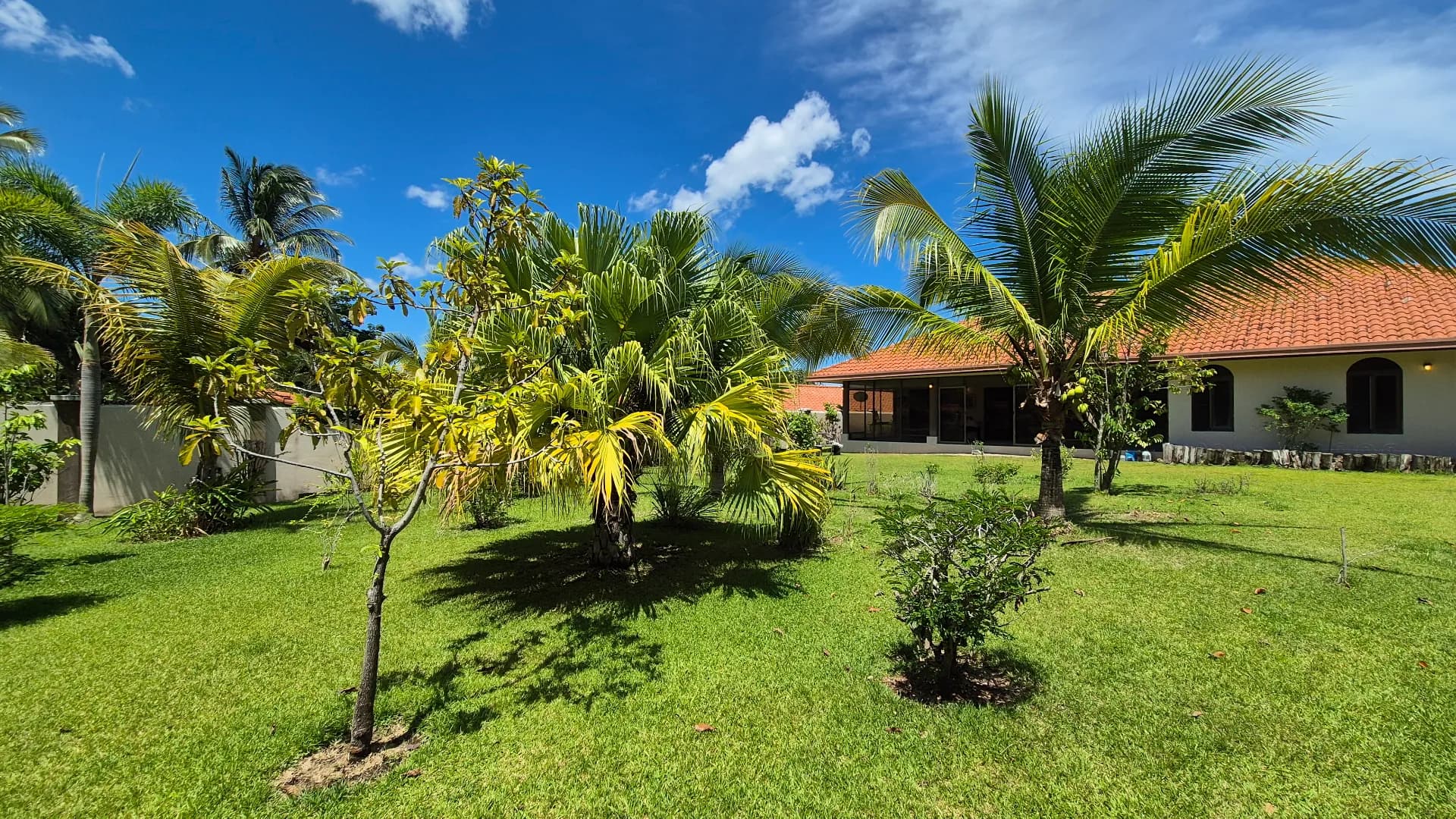 Spacious 3-Bedroom Home with Expansive Backyard Oasis Near Coronado P-0038 - Image 43