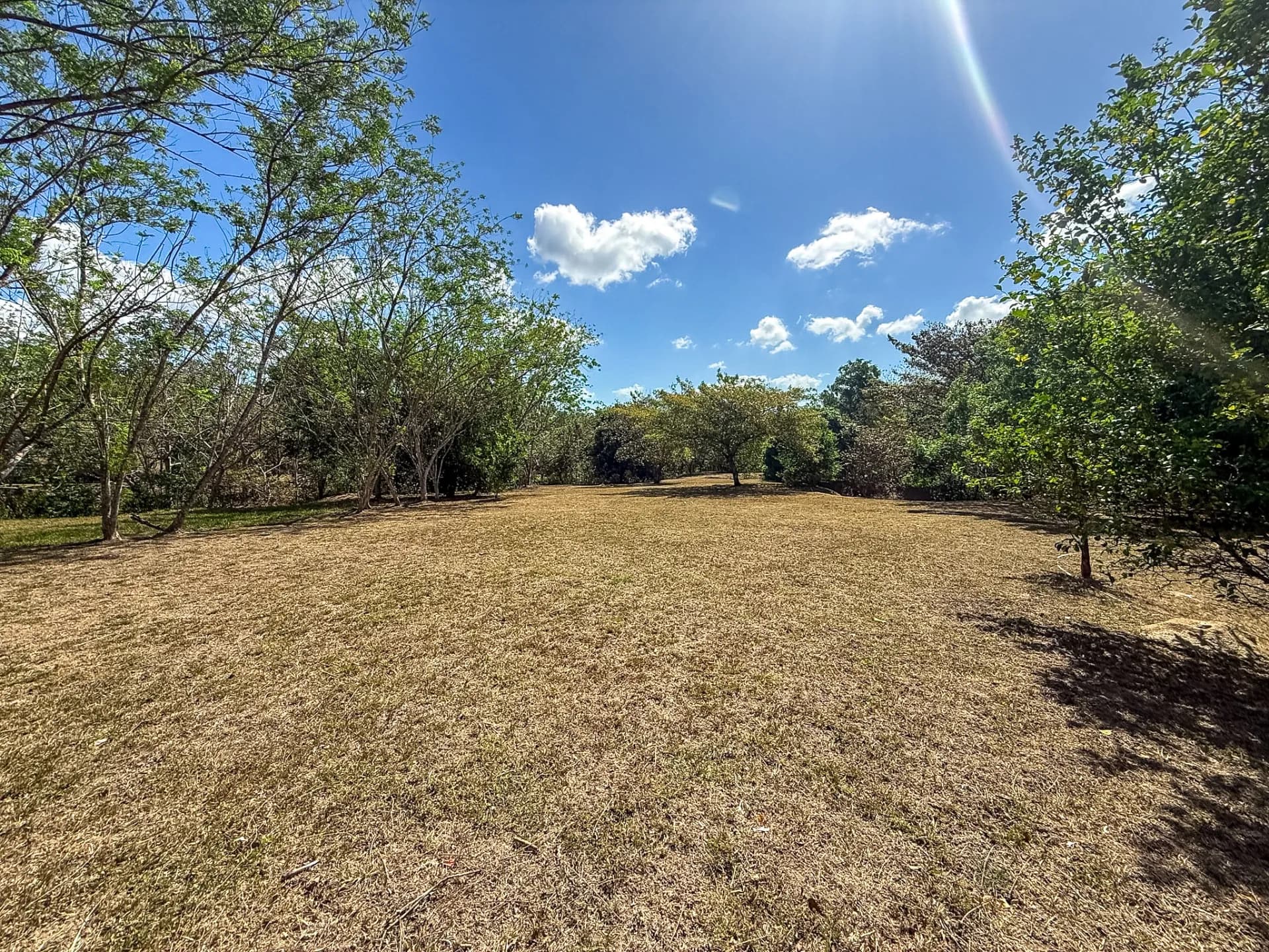 Spacious 0.88-Acre Lot to Build Your Dream Home & Grow Your Own Paradise P-0091 - Image 9