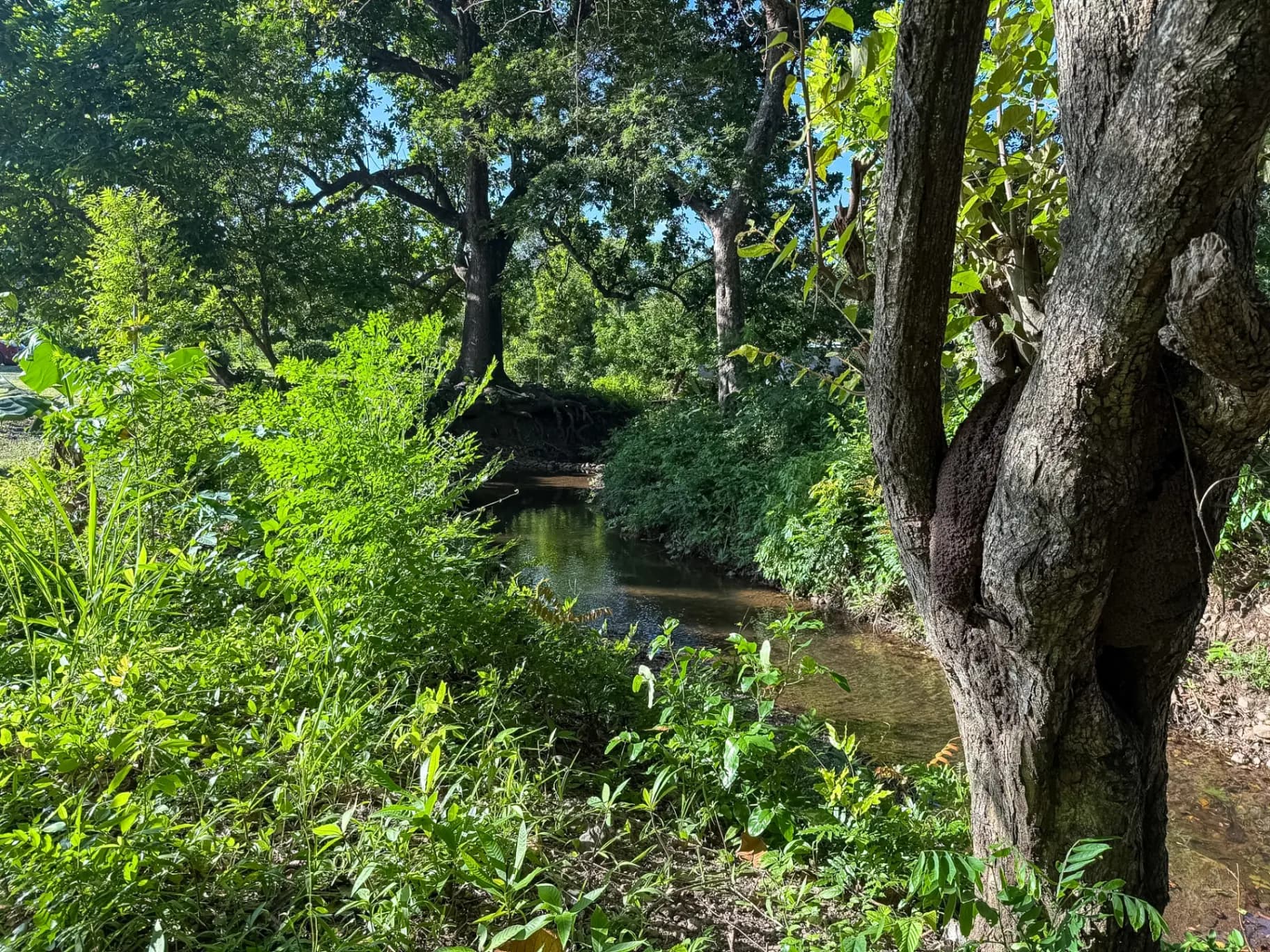 Charming 0.22-Acre Mountain View Lot with Creek Access and 40-Foot Container Home, Chame, Near Coronado. R-0058 - Image 6