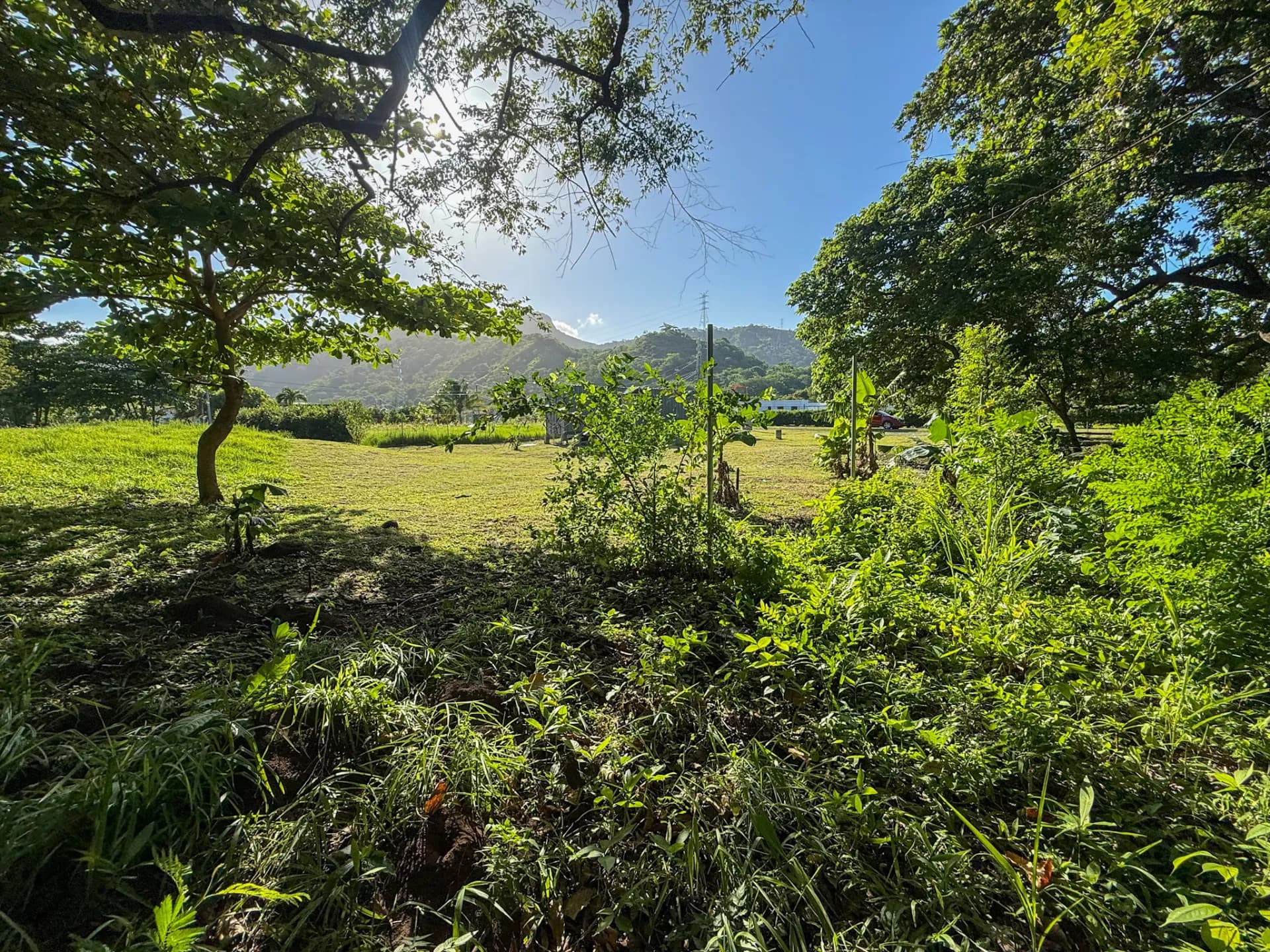 Charming 0.22-Acre Mountain View Lot with Creek Access and 40-Foot Container Home, Chame, Near Coronado. R-0058 - Image 7