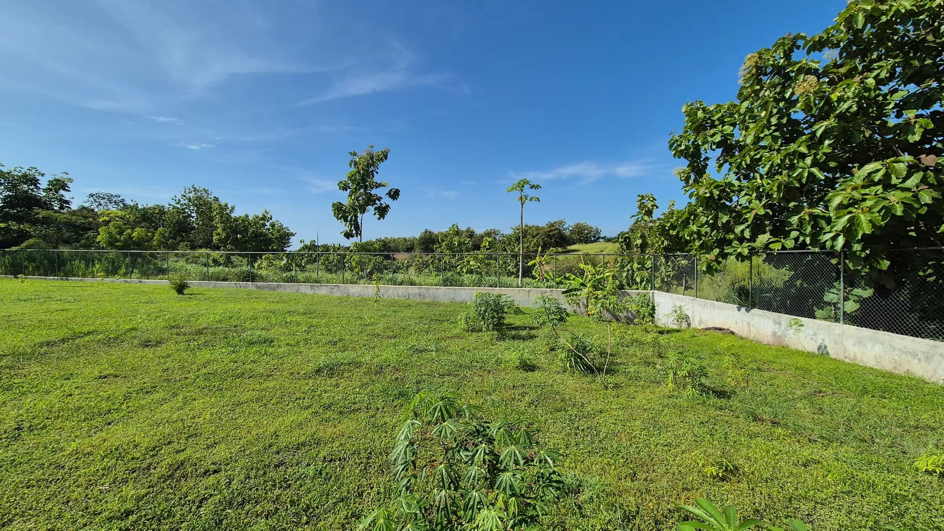 Great Opportunity – 0.29-Acre Lot for Sale in Las Lajas, Near Coronado P-0078 - Image 9