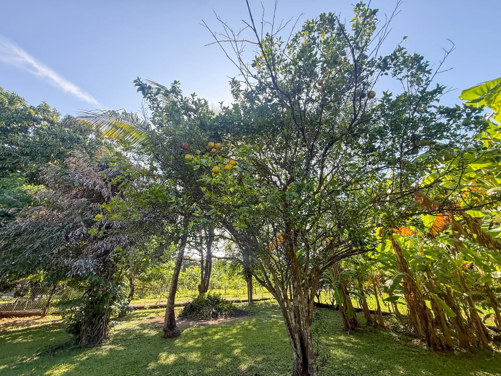 3 Bedroom Coastal Estate with Guest House, Backup Generator and 0.89 Acres in Nueva Gorgona, Panama R-0079 - Image 46