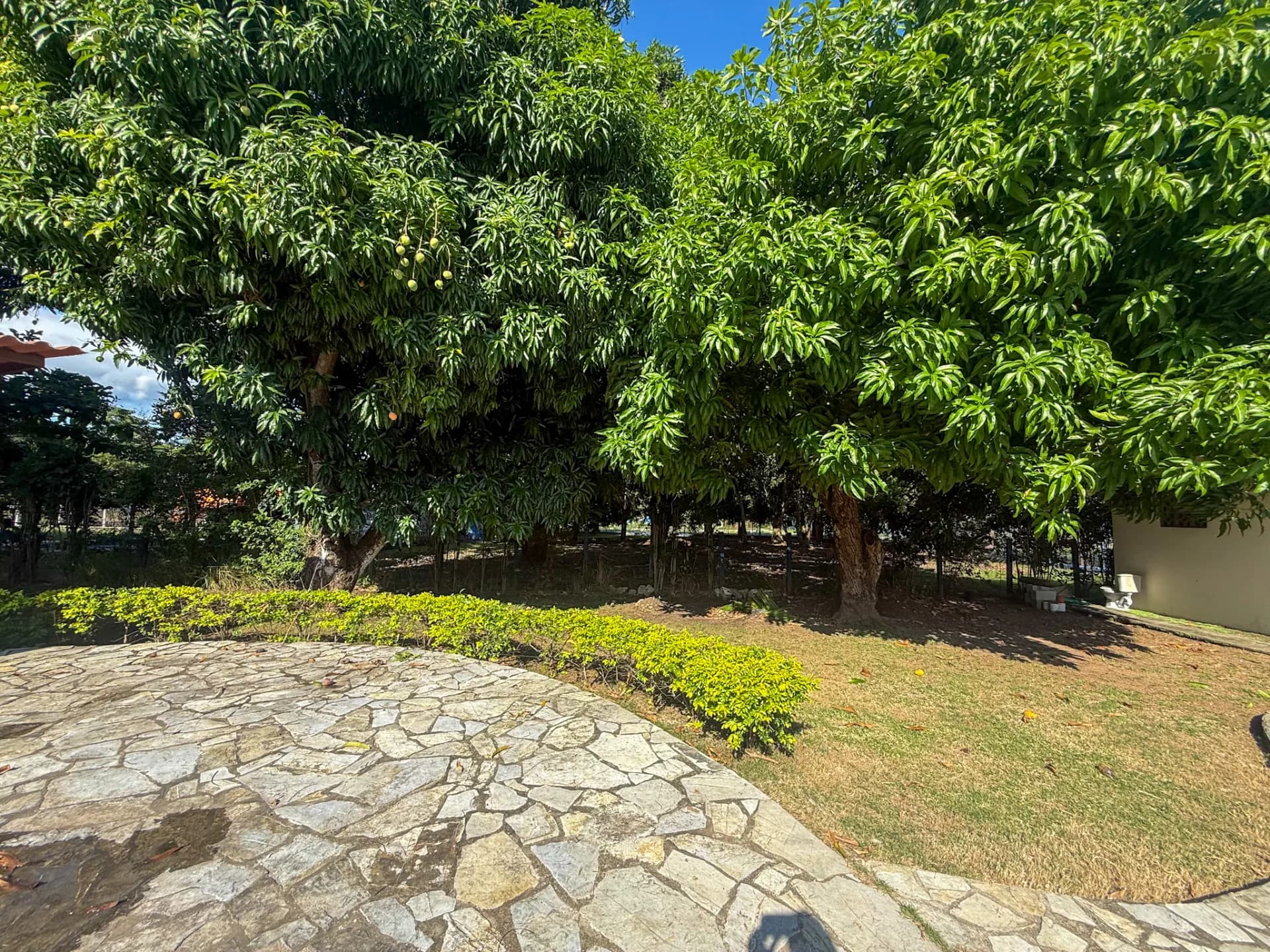 3 Bedroom Coastal Estate with Guest House, Backup Generator and 0.89 Acres in Nueva Gorgona, Panama R-0079 - Image 61