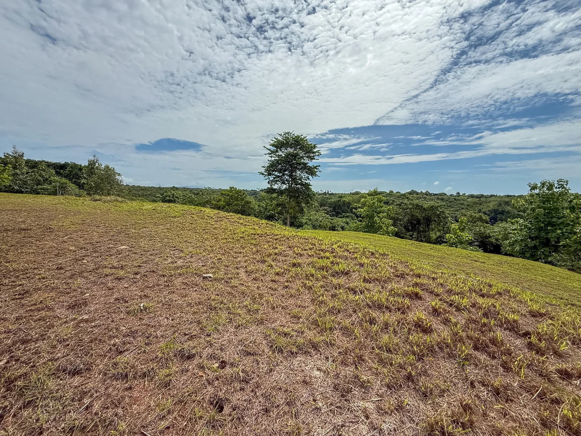 0.49 Acres Lot - Mountain Living in El Espino, Panama R-0221 - Image 9