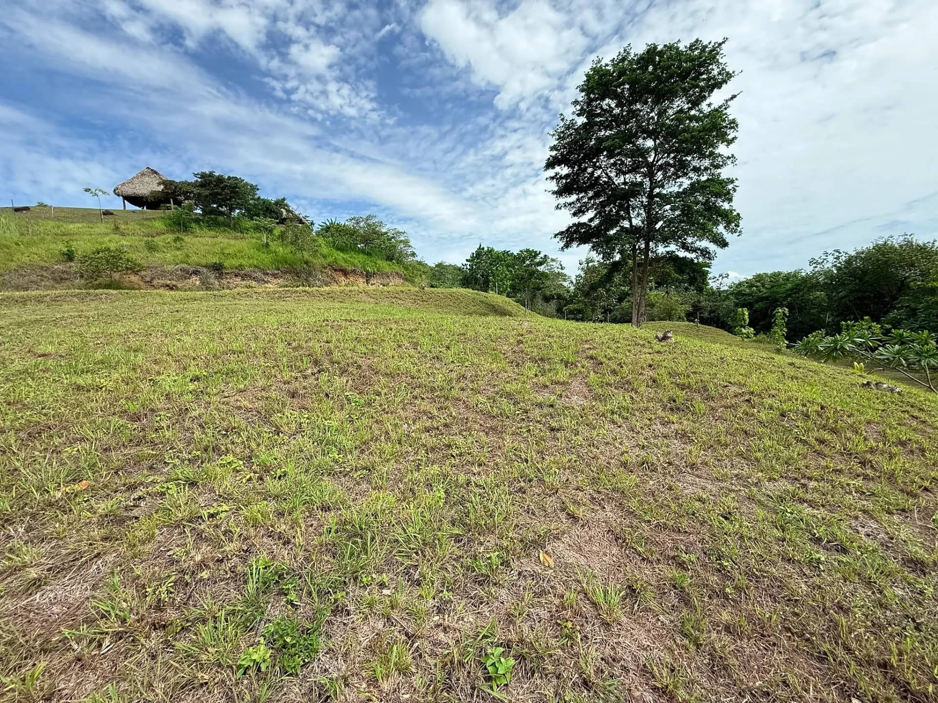 0.49 Acres Lot - Mountain Living in El Espino, Panama R-0221 - Image 10