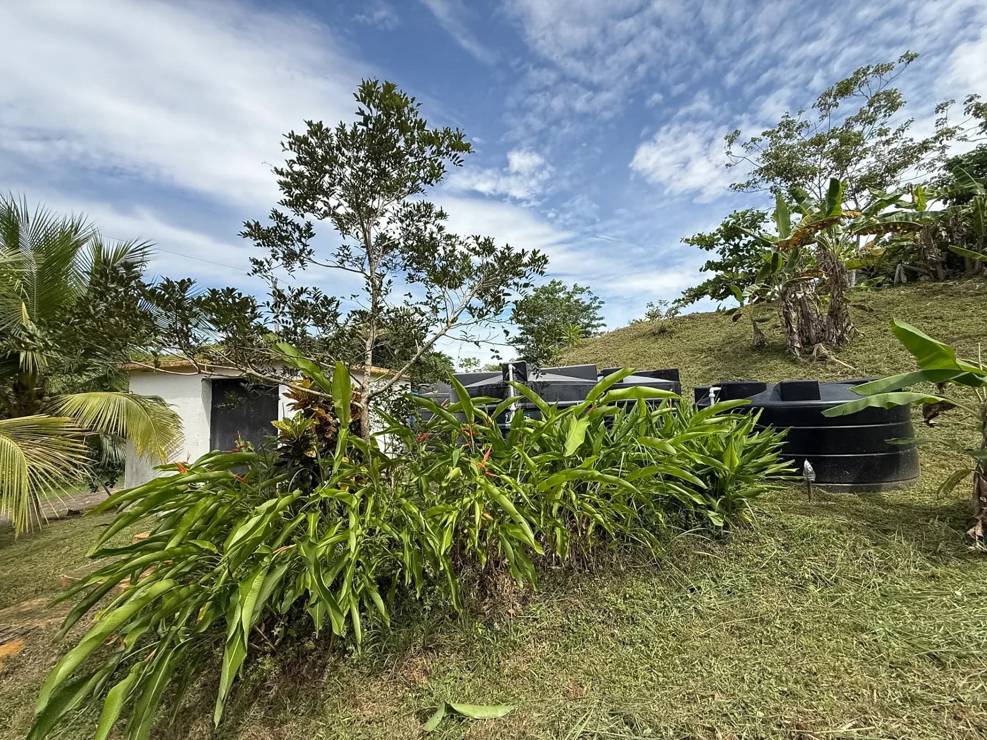 0.49 Acres Lot - Mountain Living in El Espino, Panama R-0221 - Image 11