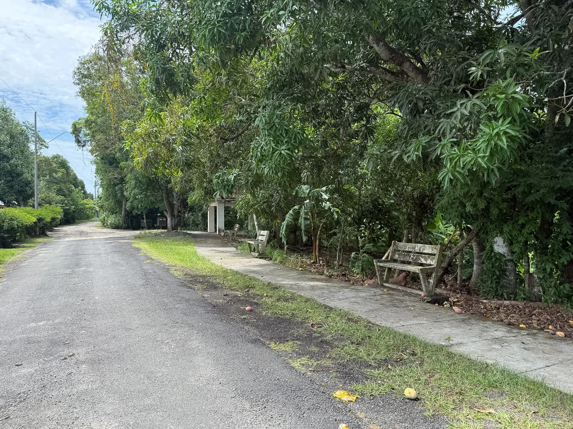 0.49 Acres Lot - Mountain Living in El Espino, Panama R-0221 - Image 12