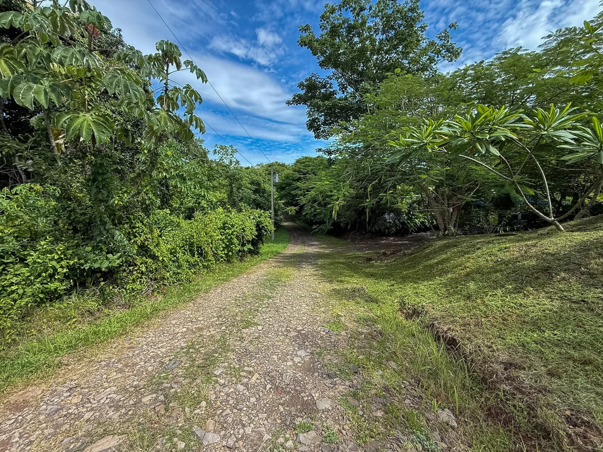0.49 Acres Lot - Mountain Living in El Espino, Panama R-0221 - Image 14