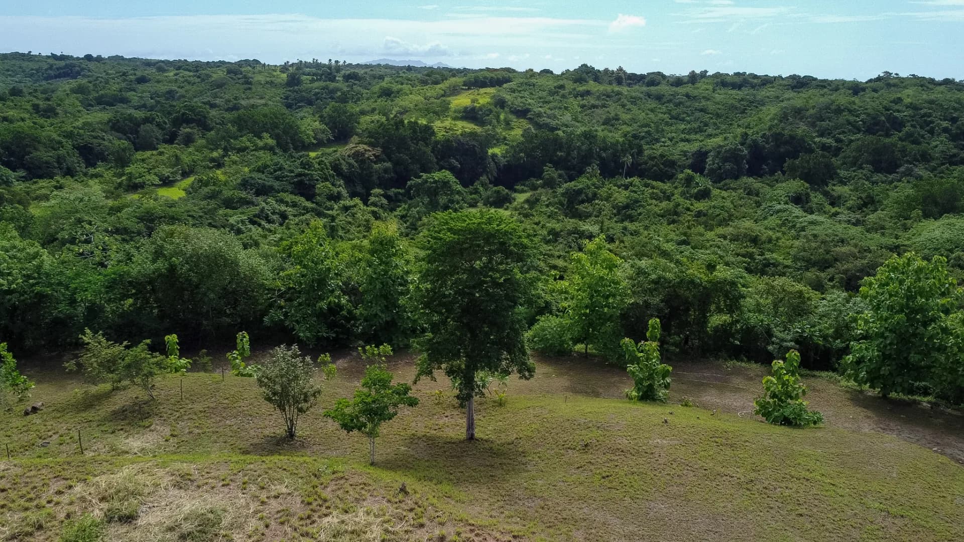 0.49 Acres Lot - Mountain Living in El Espino, Panama R-0221 - Image 5
