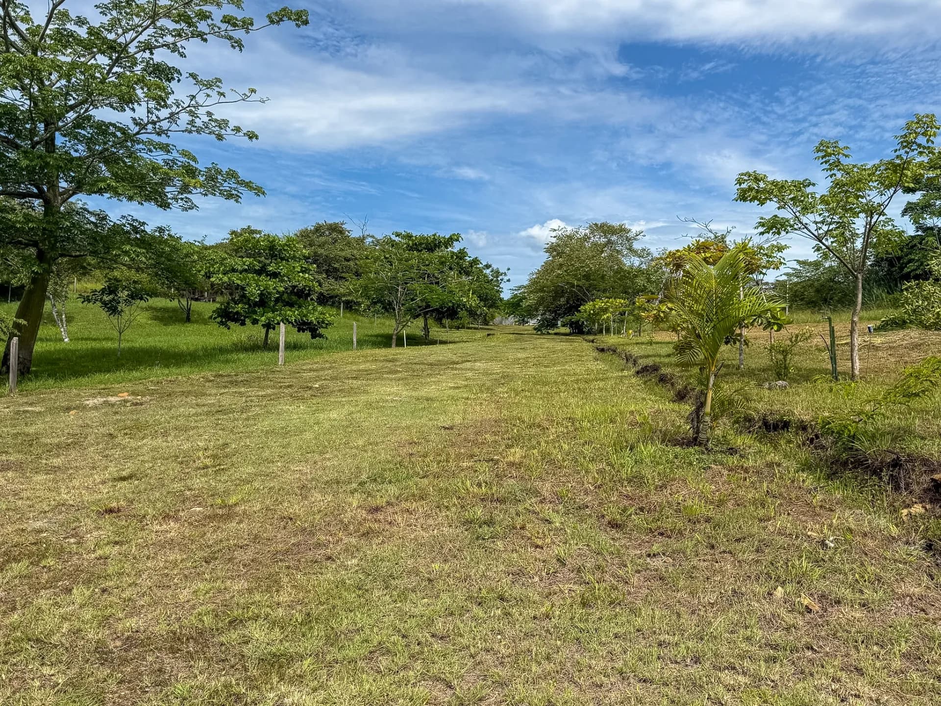 0.49 Acres Lot - Mountain Living in El Espino, Panama R-0221 - Image 7