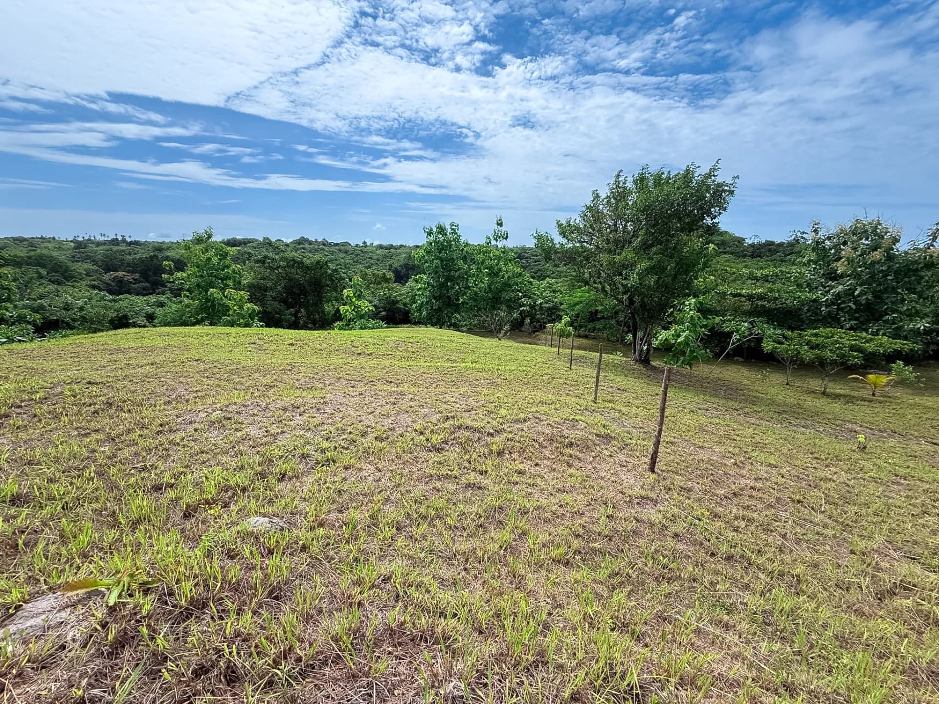 0.49 Acres Lot - Mountain Living in El Espino, Panama R-0221 - Image 8