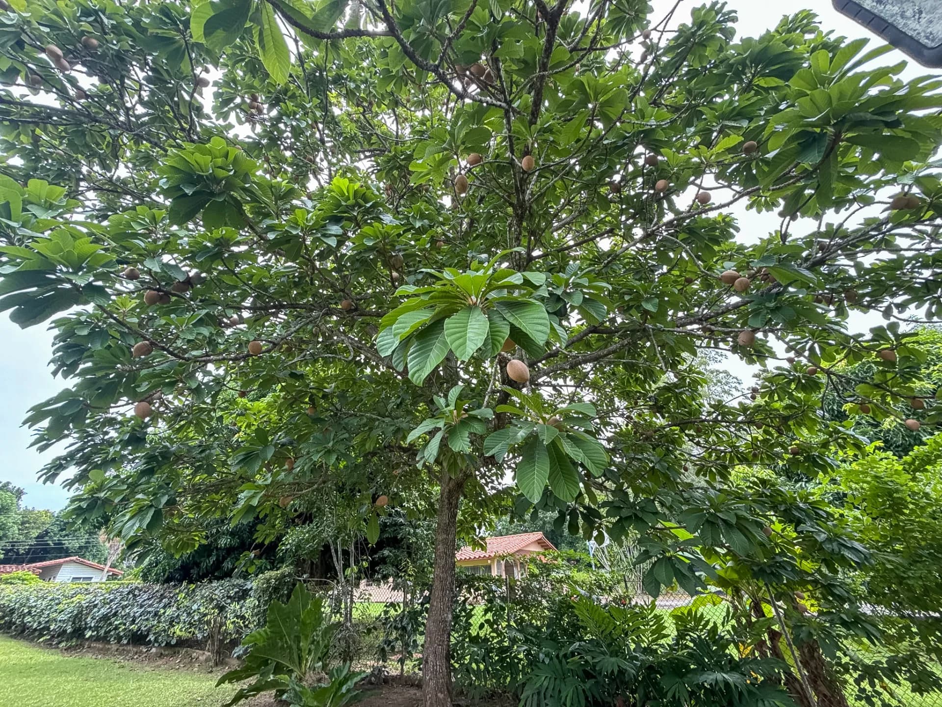 Exceptional Opportunity, 3-Bedroom Home with Pool in Coronado, Panama R-0103 - Image 25