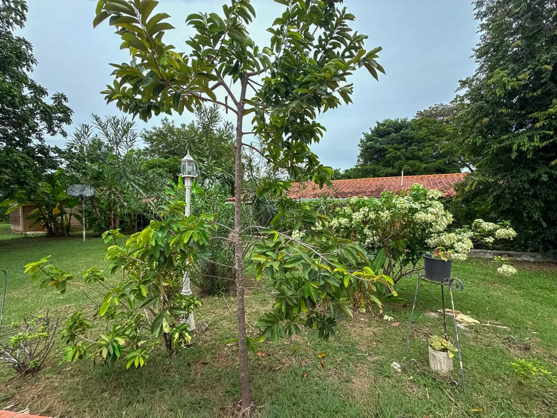 Exceptional Opportunity, 3-Bedroom Home with Pool in Coronado, Panama R-0103 - Image 27