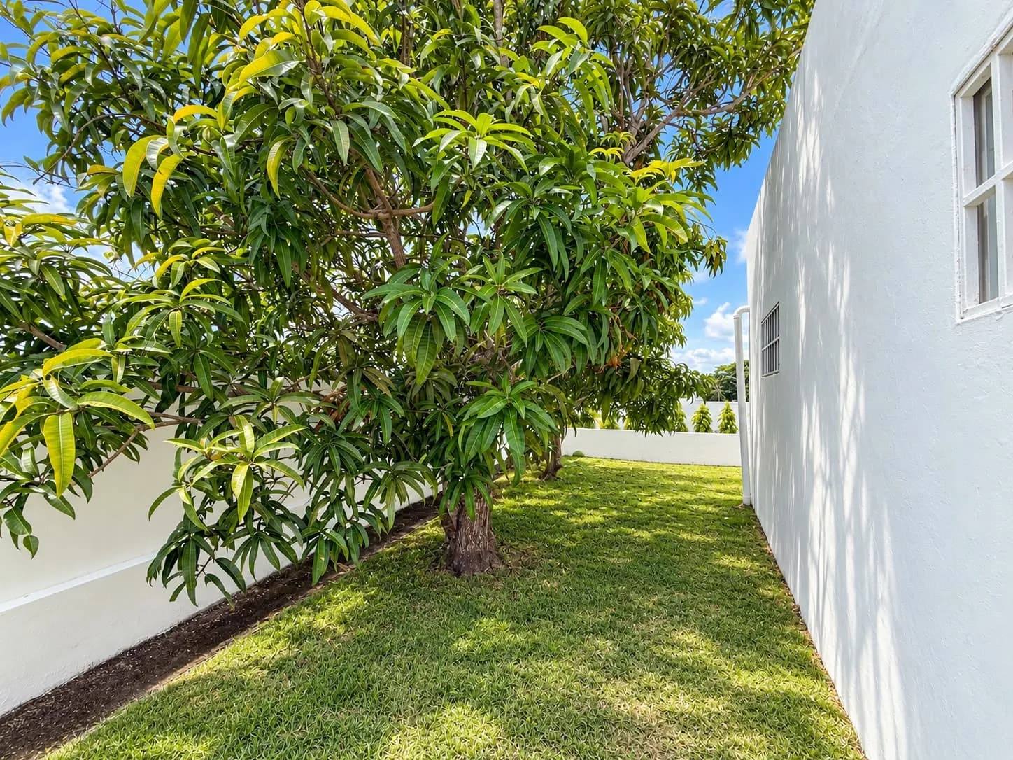 Affordable 2-Bedroom Corner-Lot Home Near the Beach in Ibiza, Río Hato | US$110,000 R-0158 - Image 20