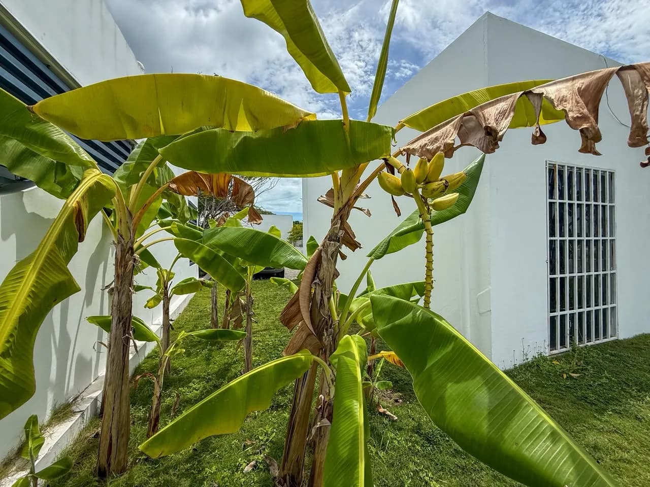 Affordable 2-Bedroom Corner-Lot Home Near the Beach in Ibiza, Río Hato | US$110,000 R-0158 - Image 22