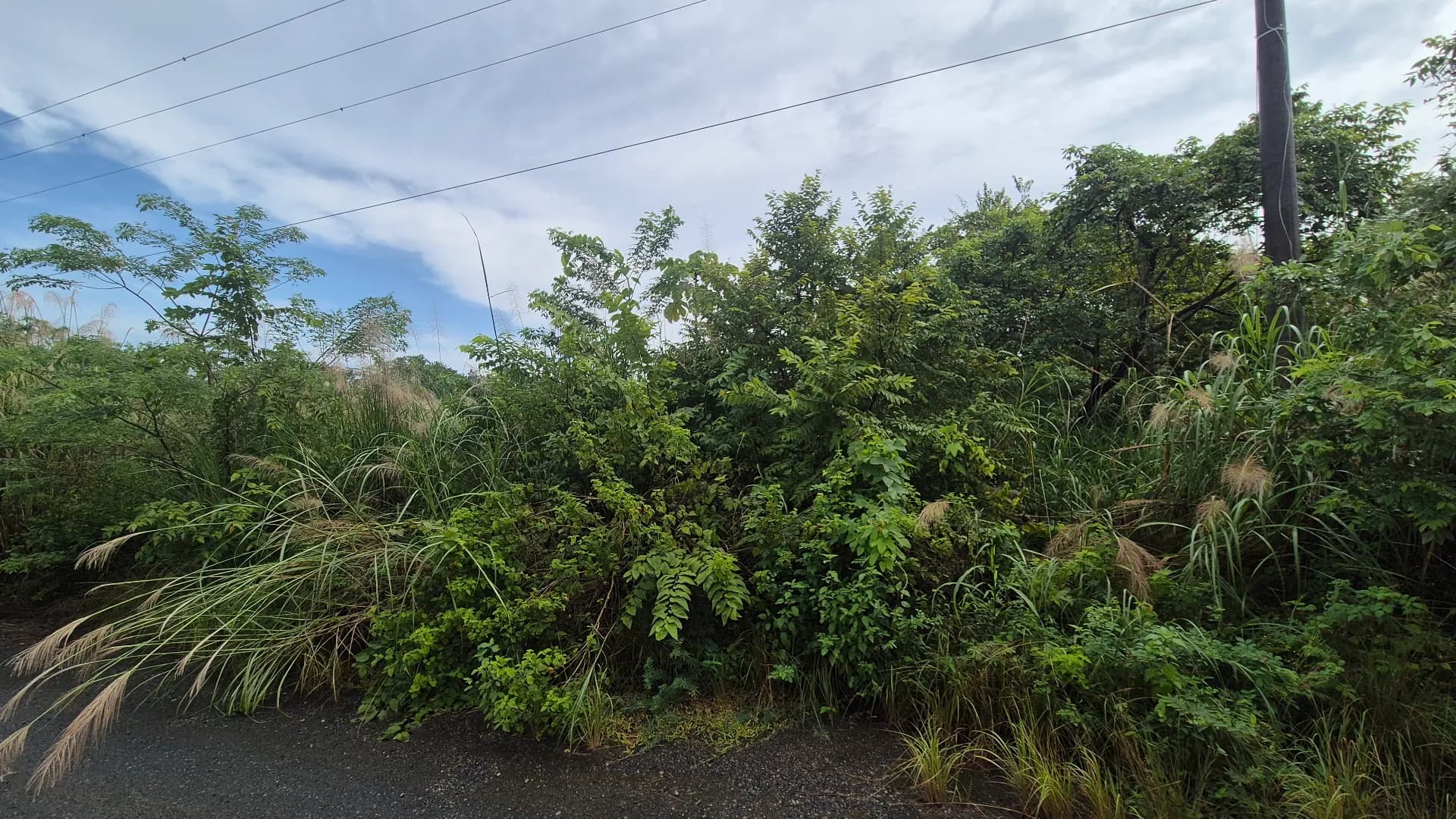 Expansive 0.85-Acre Lot in Gated Community Near Panama City P-0159 - Image 6