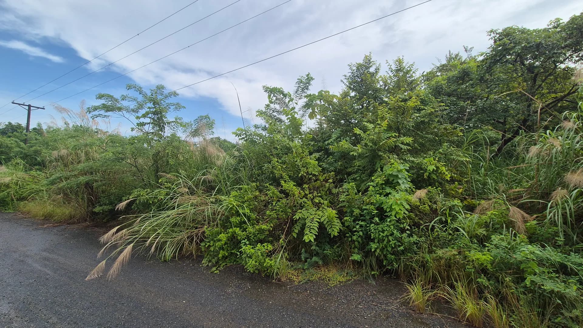 Expansive 0.85-Acre Lot in Gated Community Near Panama City P-0159 - Image 7