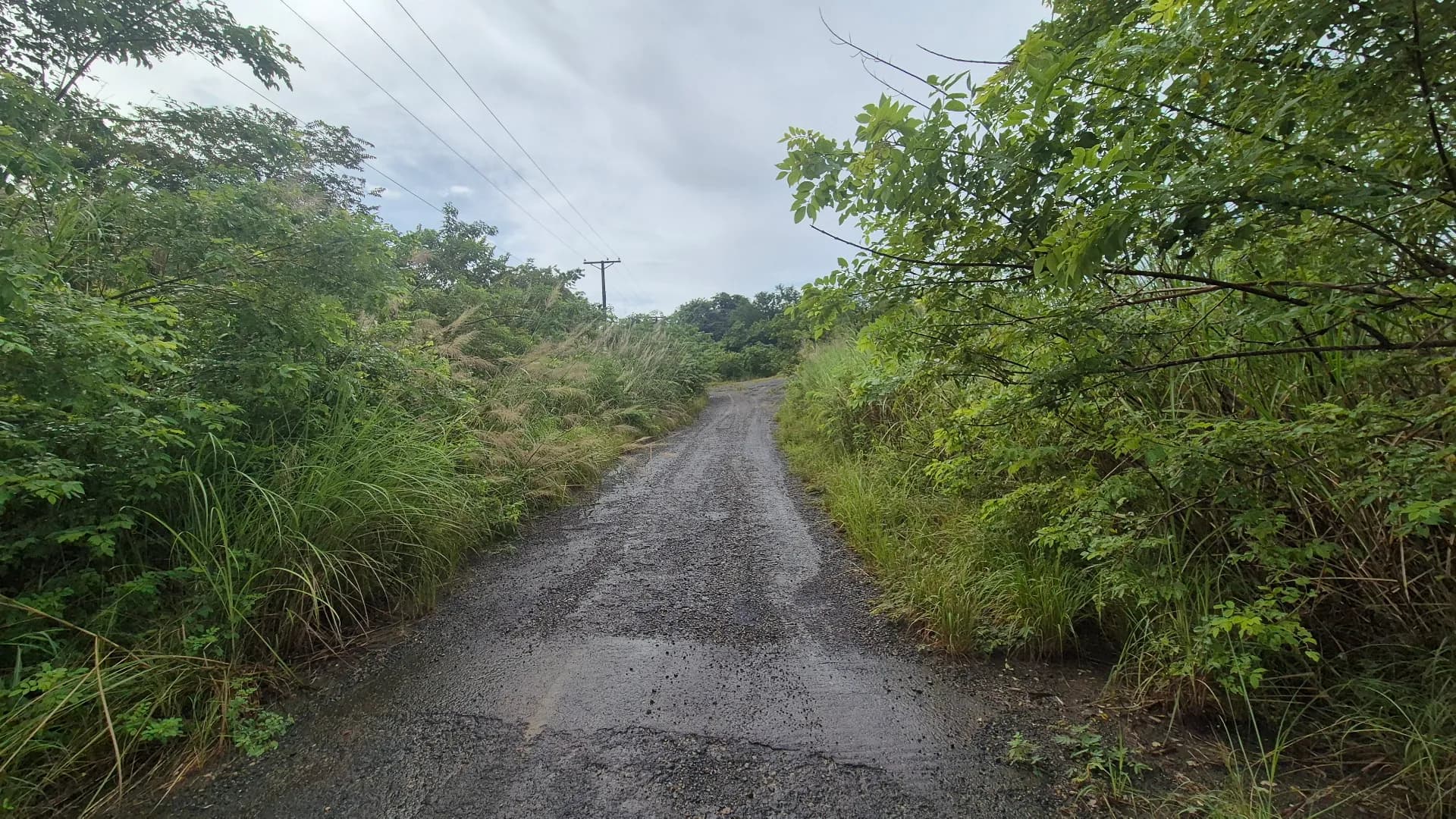 Expansive 0.85-Acre Lot in Gated Community Near Panama City P-0159 - Image 8