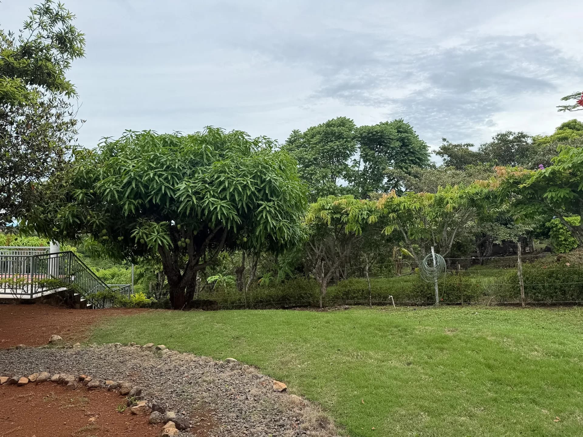 One-of-a-Kind Two-Story Property with Stunning Views in El Copecito, San Carlos R-0566 - Image 6